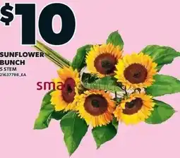 Loblaws Sunflower bunch offer