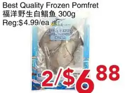 Yours Food Mart Best Quality Frozen Pomfret offer