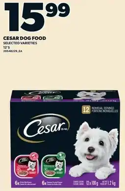 Loblaws Cesar dog food offer