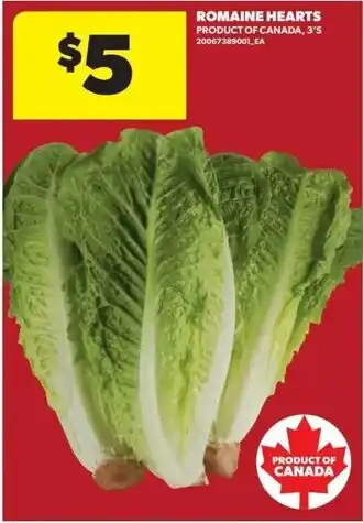 Dominion Romaine Hearts offer