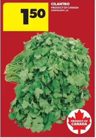 Dominion Cilantro offer