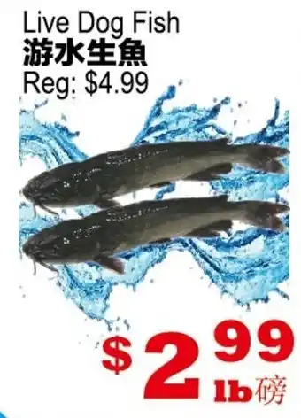 Yuan Ming Supermarket Live Dog Fish offer