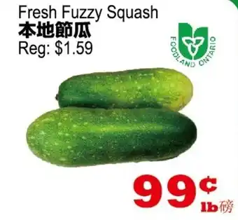 Yuan Ming Supermarket Fresh Fuzzy Squash offer