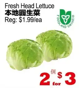 Yuan Ming Supermarket Fresh Head Lettuce offer