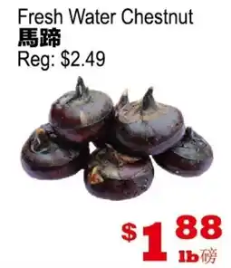 Yuan Ming Supermarket Fresh Water Chestnut offer