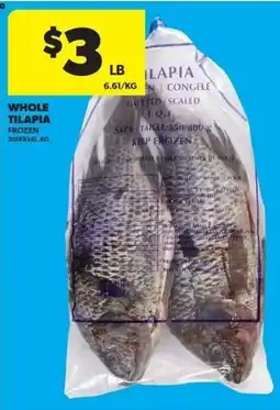 Dominion Whole tilapia offer