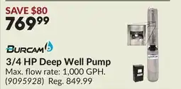 Princess Auto 3/4 HP Deep Well Pump offer