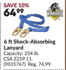 Princess Auto 6 ft Shock-Absorbing Lanyard offer
