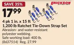 Princess Auto 4 pk 1 in. x 15 ft 1,200 lb Ratchet Tie-Down Strap Set offer