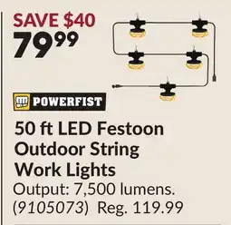 Princess Auto 50 ft LED Festoon Outdoor String Work Lights offer