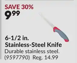 Princess Auto 6-1/2 in. Stainless-Steel Knife offer