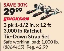 Princess Auto 3 pk 1-1/2 in. x 12 ft 3,000 lb Ratchet Tie-Down Strap Set offer