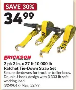 Princess Auto 2 pk 2 in. x 27 ft 10,000 lb Ratchet Tie-Down Strap Set offer