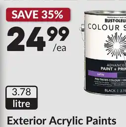 Princess Auto Black Satin Exterior Acrylic Paints offer
