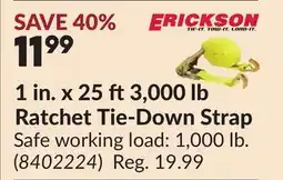 Princess Auto 1 in. x 25 ft 3,000 lb Ratchet Tie-Down Strap offer