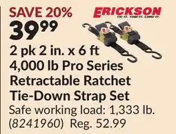 Princess Auto 2 pk 2 in. x 6 4,000 lb Pro Series Retractable Ratchet Tie-Down Strap Set offer