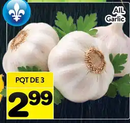 Supermarché PA AIL | Garlic offer