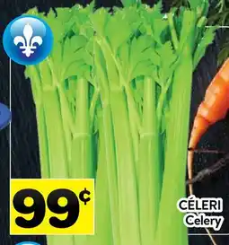 Supermarché PA CÉLERI | Celery offer