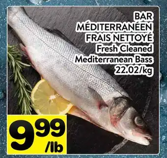 Supermarché PA BAR MÉDITERRANÉEN FRAIS NETTOYÉ | Fresh Cleaned Mediterranean Bass offer