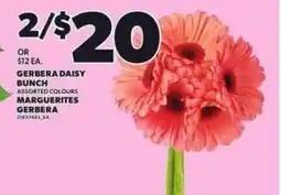 Independent Grocer Gerbera daisy bunch offer