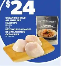 Independent Grocer Ocean pier wild atlantic sea scallops frozen offer