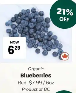 Blush Lane Organics Organic Blueberries offer