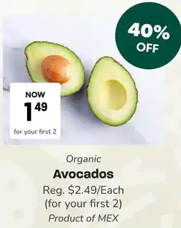 Blush Lane Organics Organic Avocados offer