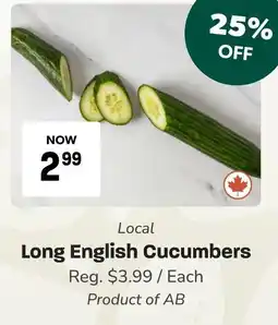 Blush Lane Organics Long English Cucumbers offer