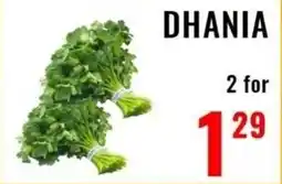 Mega Sanjha Punjab Grocery Store Dhania offer