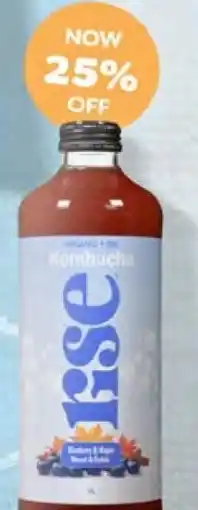 Blush Lane Organics Kombucha Rse offer
