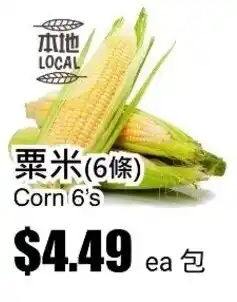 Rice World Supermarket Corn 6's offer