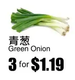 Green Onion