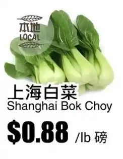Rice World Supermarket Shanghai Bok Choy offer