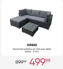 Meubles RD Hawai Sectionnel extérieur en rotin avec table basse offer