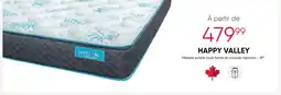 Meubles RD Happy Valley Matelas simple roulé ferme en mousse mémoire - 39" offer