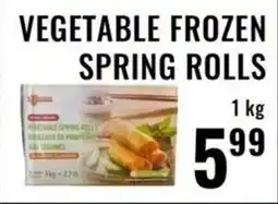 Mega Sanjha Punjab Grocery Store Vegetable frozen spring rolls offer