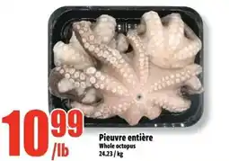 Bonanza Pieuvre entière Whole octopus offer