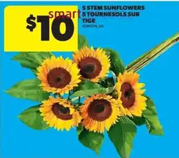 Real Canadian Superstore 5 stem sunflowers offer