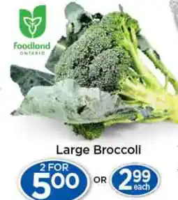 Lady York Large Broccoli offer