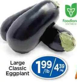 Lady York Large Classic Eggplant offer