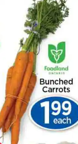 Lady York Bunched Carrots offer