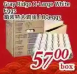Foody Mart Gray Ridge X-Large White Eggs offer