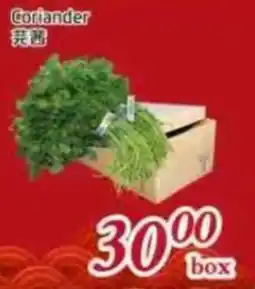 Foody Mart Coriander offer