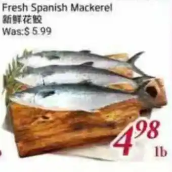 Foody Mart Fresh Spanish Mackerel offer