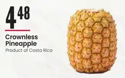 Freson Bros Crownless Pineapple offer
