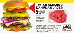 Freson Bros Medium Lean Ground Beef ALBERTA BEEF offer