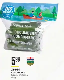 Freson Bros Mini Cucumbers offer