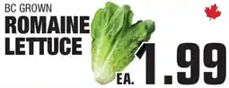 Butcher Boys Bc grown romaine lettuce offer