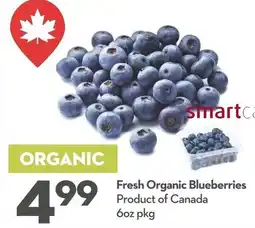 Garden Foods Fresh organic blueberries offer