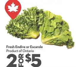 Garden Foods Fresh endive or escarole offer